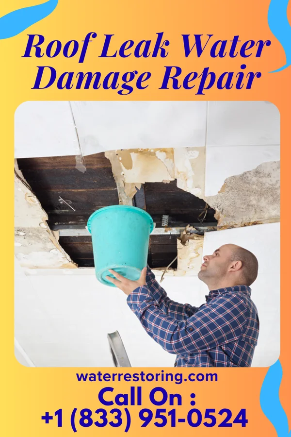 Roof Leak Water Damage Repair in Menan, ID